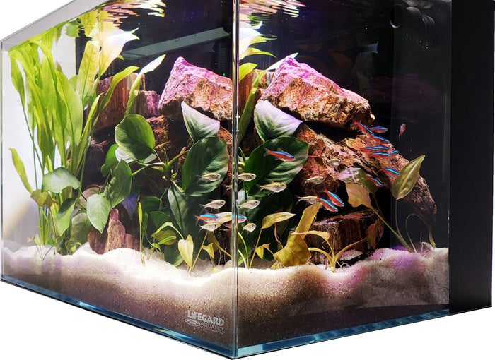Kolar Filtration DI Resin 1.1 lbs (600g) @ Fish Tanks Direct