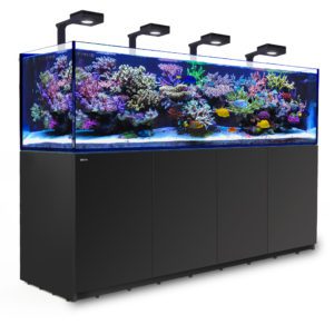 red sea reefer 900