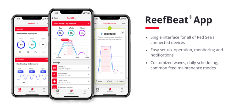 Reefer Peninsula 500 ReefBeat App