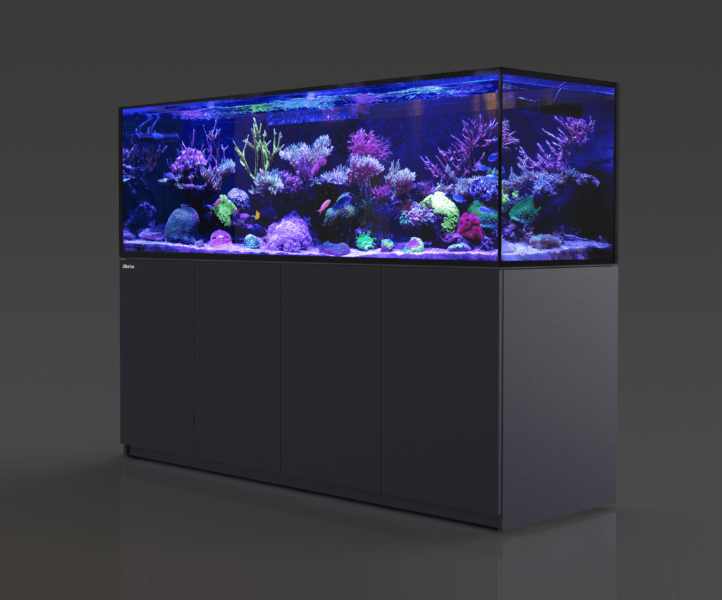Red Sea Aquariums, REEFER ReeferS 1000 G2+ (Black) Fish and Coral Store