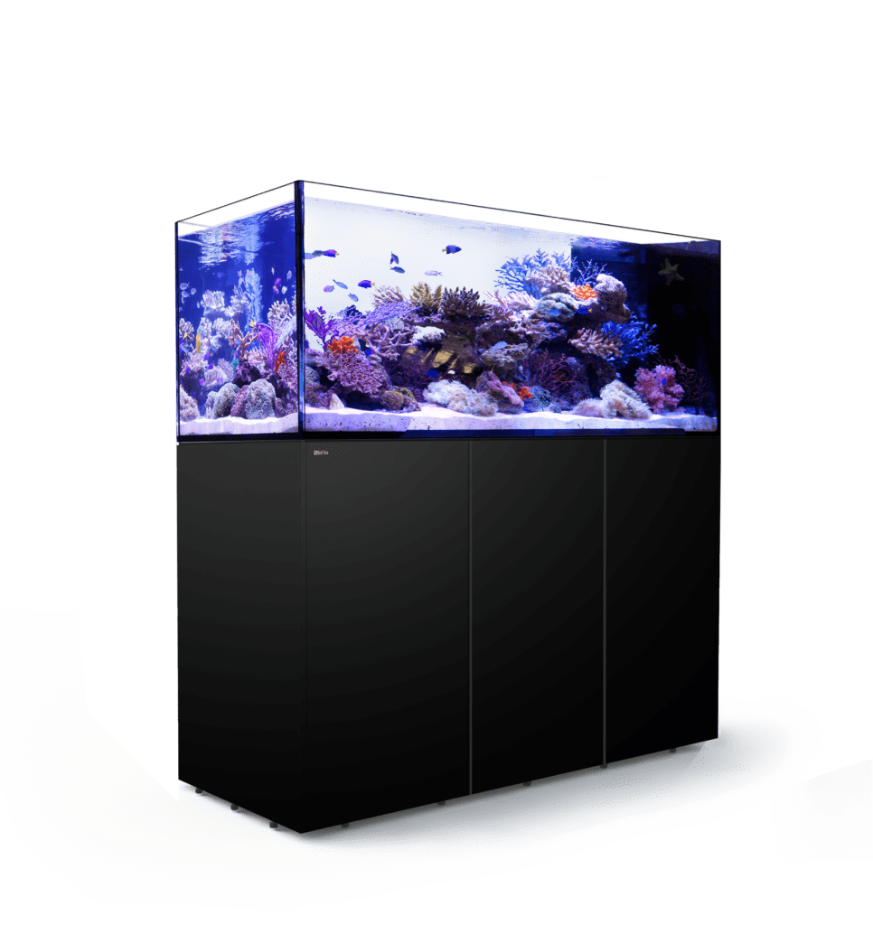 Reefer Peninsula 650 Black Aquarium Only Fish and Coral Store