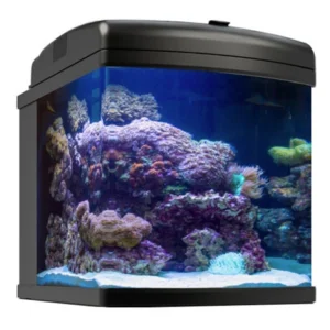 Nano Cube JBJ 24G Aquarium with LED lighting, ultra-clear glass, and filtration system for freshwater and saltwater setups.