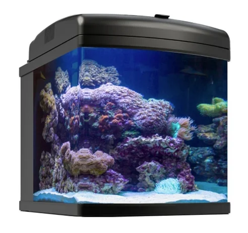 Nano Cube JBJ 24G Aquarium with LED lighting, ultra-clear glass, and filtration system for freshwater and saltwater setups.