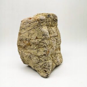 Elephant Skin Stone Small