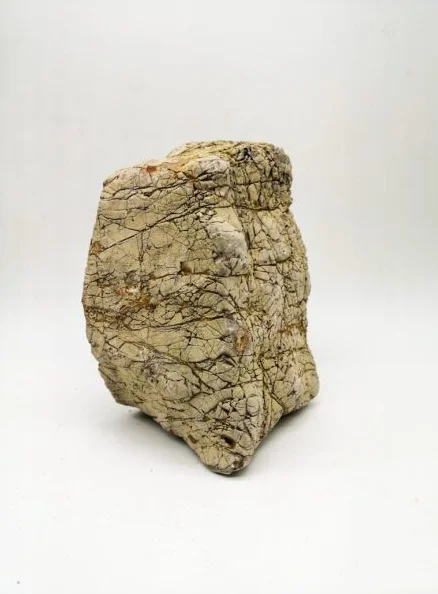 Elephant Skin Stone Medium unboxed