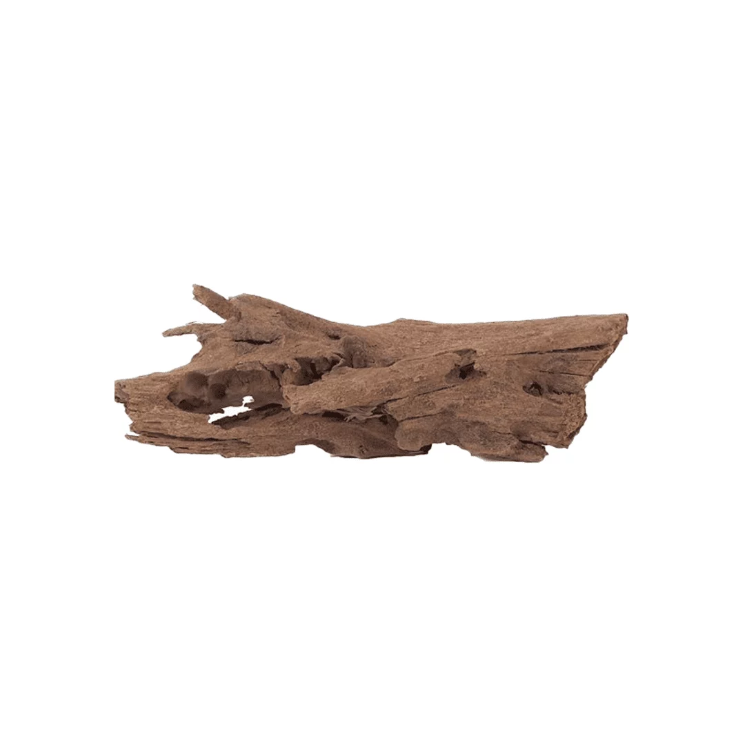 Malaysian Driftwood XL
