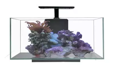 JBJ Rimless Desktop 10 Gallon Flat Panel Aquarium with Lyra 10W LED rimless nano tank for home or office
