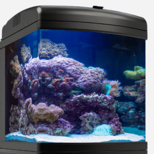 JBJ 24G LED Nano Cube Aquarium with Cree LED lighting and integrated 3-stage filtration system for marine and freshwater setups.