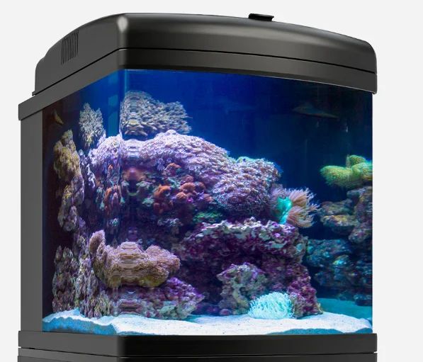 JBJ 24G LED Nano Cube Aquarium with Cree LED lighting and integrated 3-stage filtration system for marine and freshwater setups.