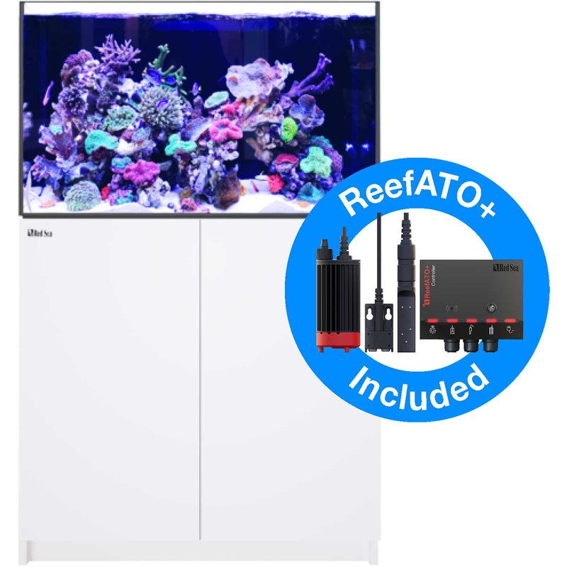 red sea reefer 300xl