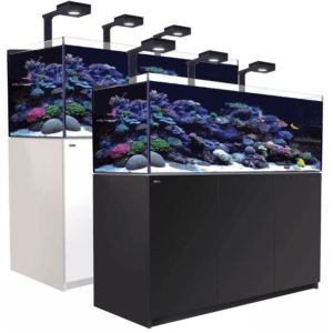 Red Sea Reefer XL 525 aquarium in action