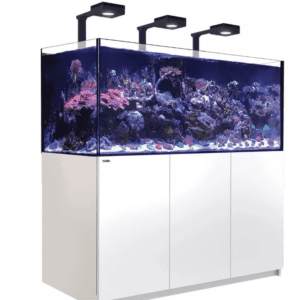 Red Sea Reefer XL 625 deluxe aquarium in action