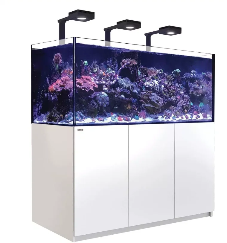 Red Sea Reefer XL 625 deluxe aquarium in action