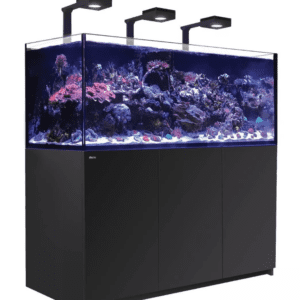 Red Sea Reefer XL 625 deluxe aquarium in action