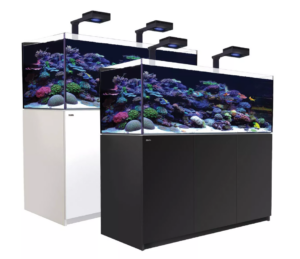 Red Sea Reefer XL 525 deluxe aquarium in action