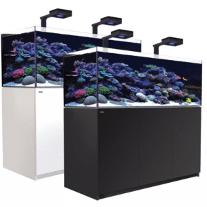 Red Sea Reefer XL 525 deluxe aquarium in action