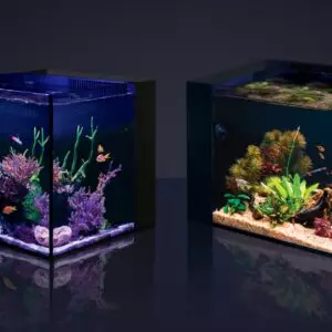 red sea desktop cube tank unboxed