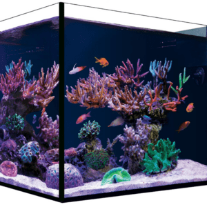 Red Sea Desktop Cube Peninsula Tank featuring a sleek, rimless design with 360-degree views and built-in filtration system.