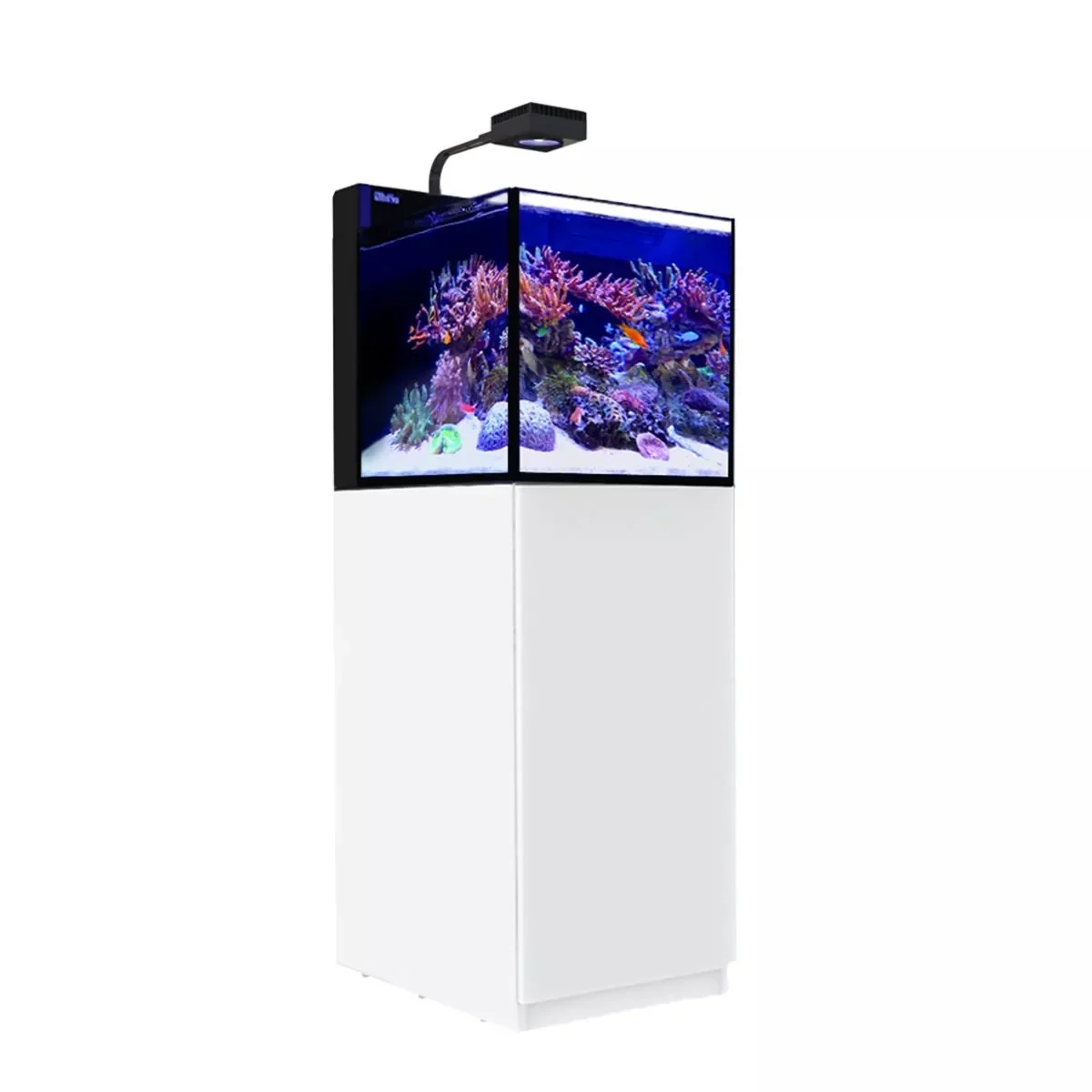 Red Sea Desktop Peninsula Aquarium with LED lighting system and white cabinet for saltwater reef aquarium setups in office or home spaces