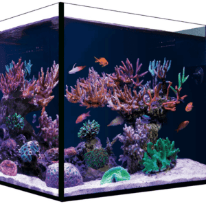 Red Sea Desktop Aquarium with black cabinet featuring LED lighting, peninsula-style tank, and hidden filtration system for saltwater reef sumps.