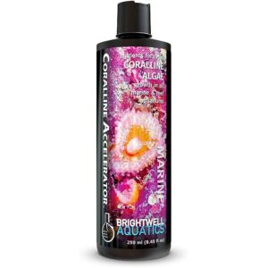 coralline algae accelerator 250ml unboxed