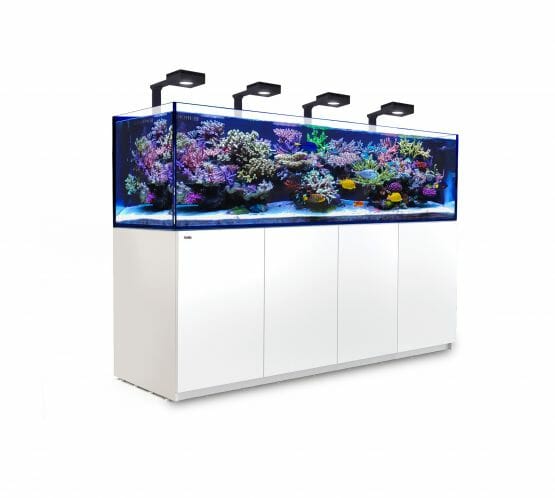 red sea reefer 900