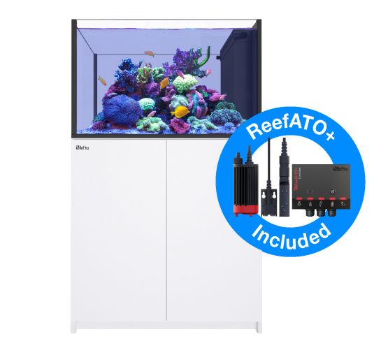 Reefer MAX Peninsula 350 G2+ - White - Fish and Coral Store