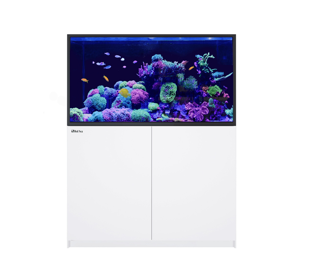 red sea reefer 550