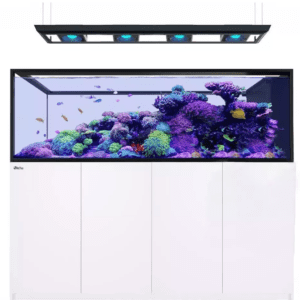 Red Sea Reefer MAX Peninsula S-950 G2+ aquarium with rimless glass, marine-spec cabinet, and ReefLED lighting