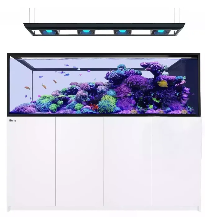 Red Sea Reefer MAX Peninsula S-950 G2+ aquarium with rimless glass, marine-spec cabinet, and ReefLED lighting