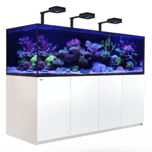 A deluxe REEFER G2+ aquarium system with ReefLED lighting and advanced water management features.