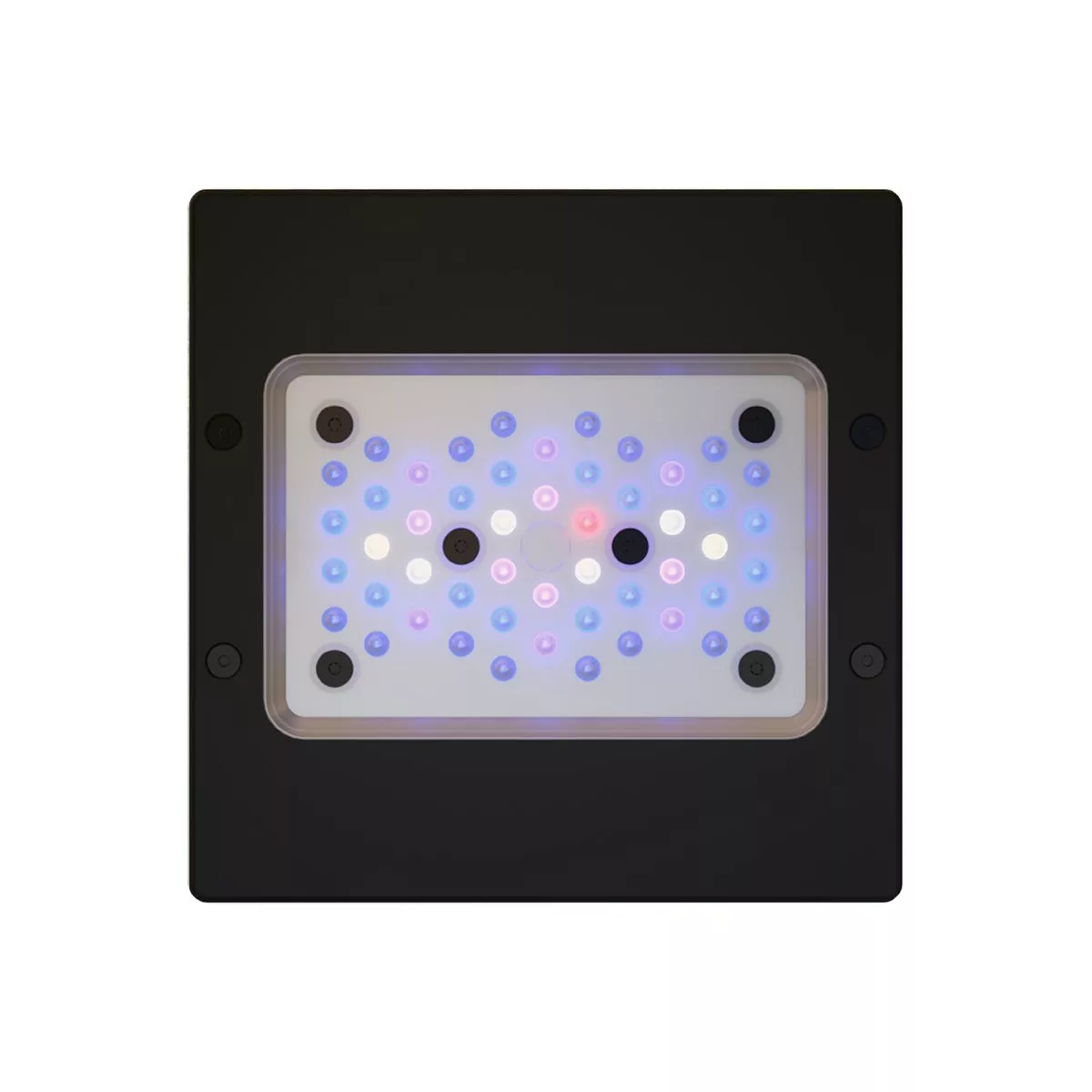 Randaco 18cm LED Acquario RGB Illuminazione Impermeabile Fish Tank Lampada  Crostacei