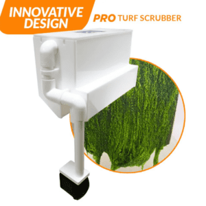 IceCap Algae Scrubber 50 Pro Turf Scrubber HOB filtering aquarium water, featuring compact design and vibrant algae growth on the screen.