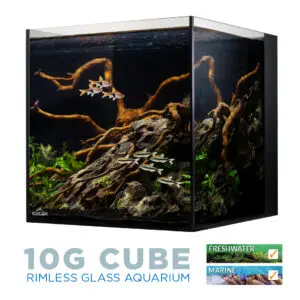 AIO Aquarium 10 Gallon Rimless Glass by IceCap with low-iron glass, built-in filtration, and a self-leveling mat.