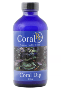 Coral RX Coral Dip bottle with reef-safe formula for removing pests, bacteria, and parasites from SPS, LPS, and soft corals.