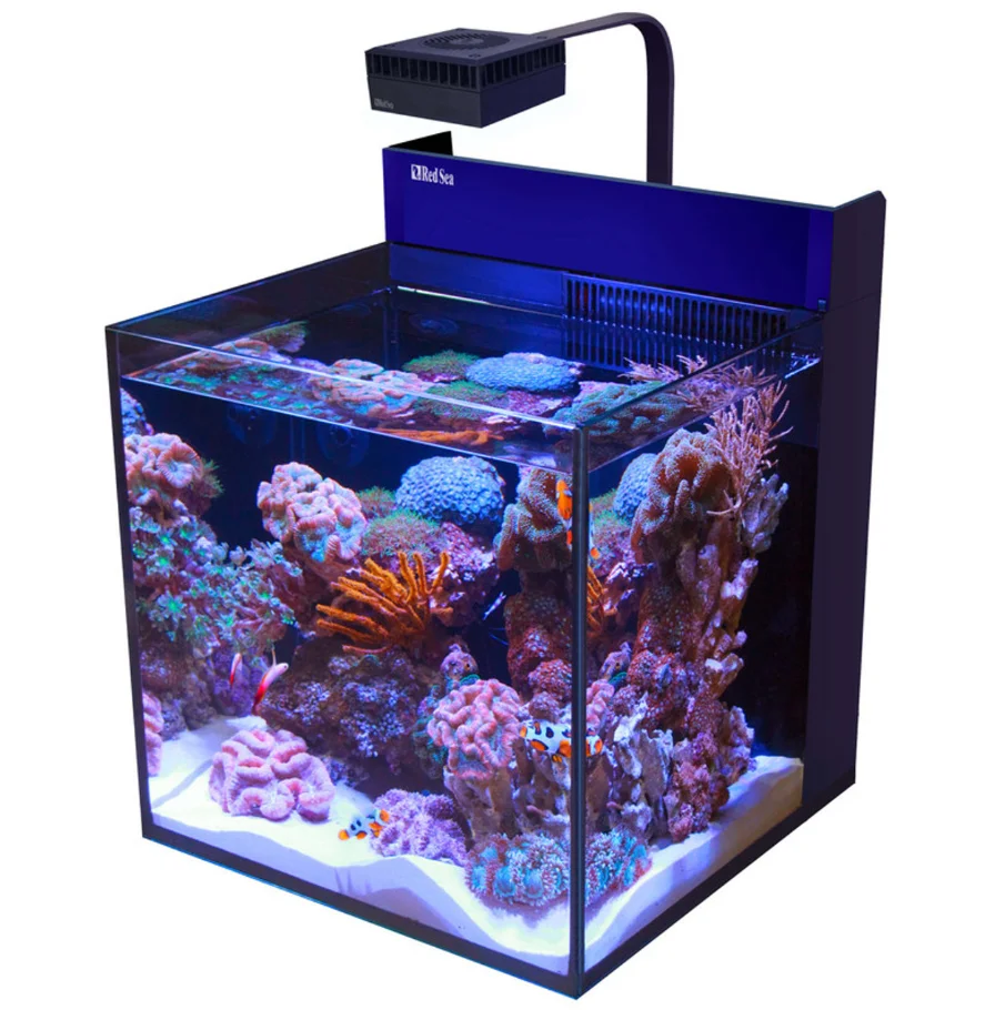 Red Sea Max Nano Cube G2 nano reef aquarium with ultra-clear glass, built-in filtration, and WiFi-controlled ReefLED lighting for coral growth.