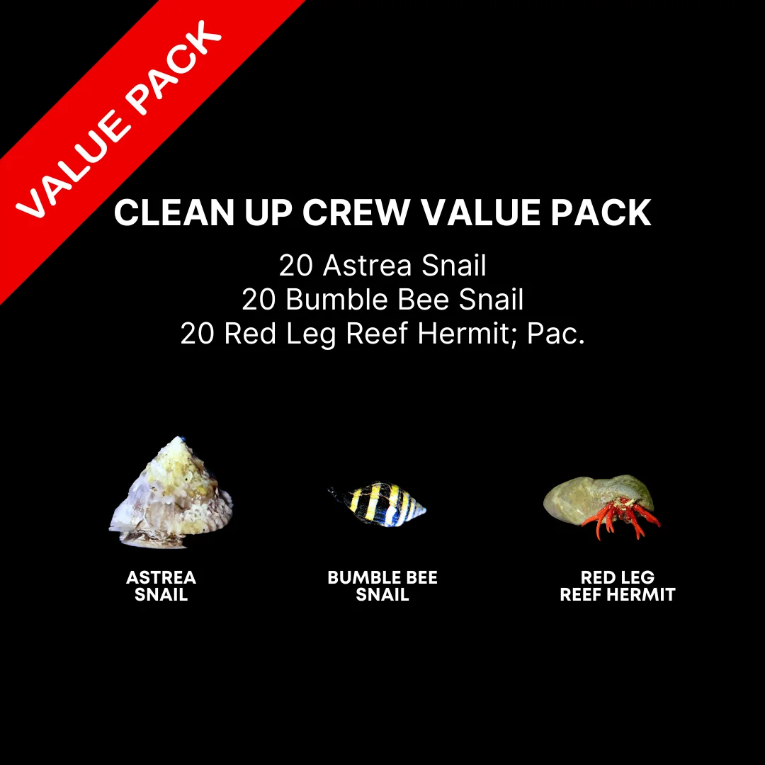 AAA: Clean Up Crew Value Pack