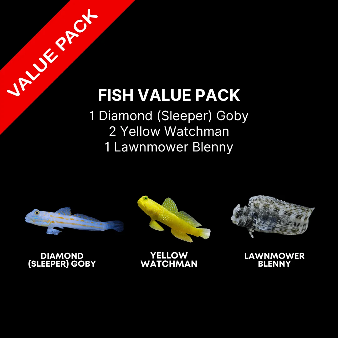AAA: FISH Value Pack