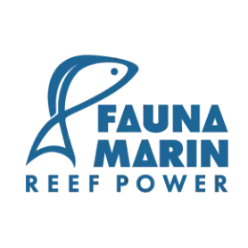 Fauna Marin