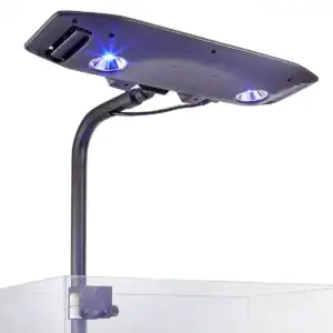 Kessil AP9X Mounting Arm installed over saltwater aquarium with adjustable height and cable-managed lighting fixture