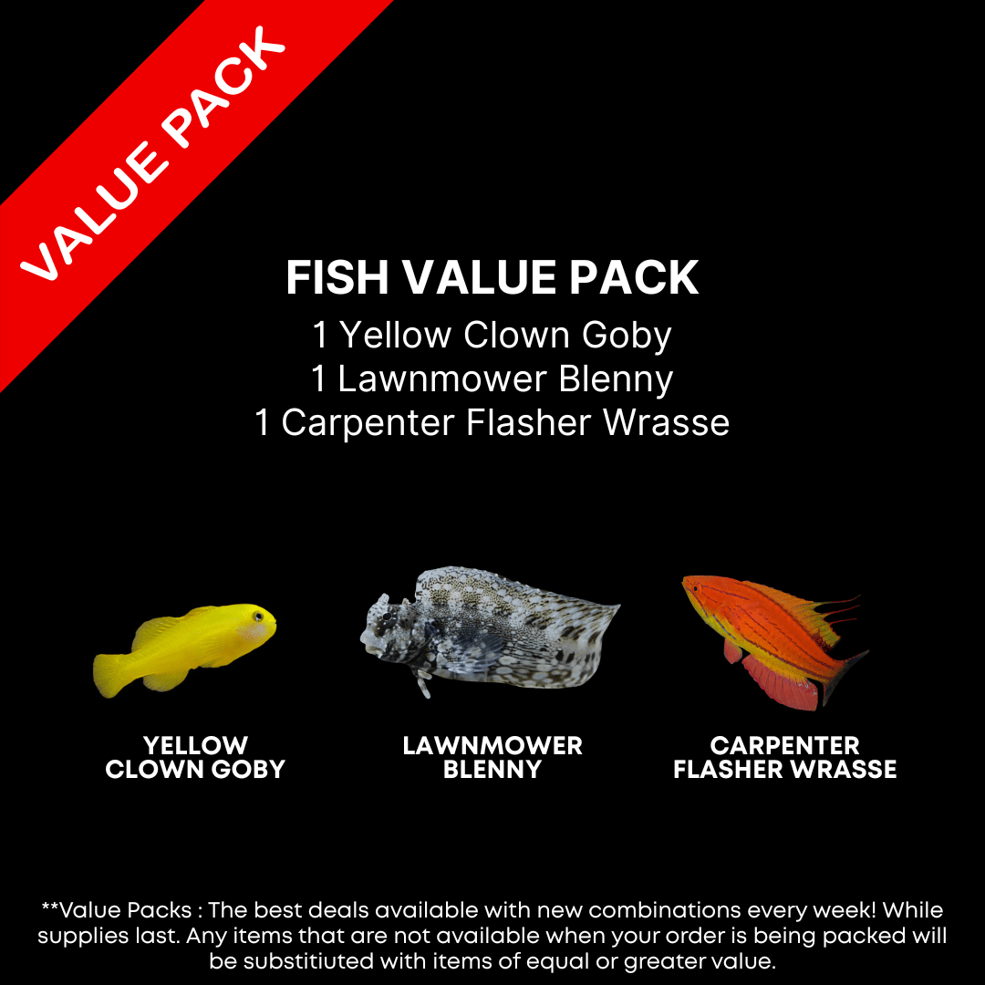 AAA: FISH Value Pack