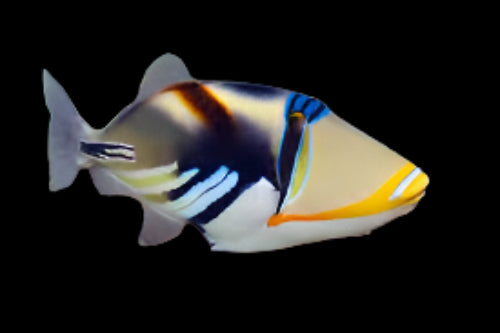 Trigger: Humu Humu; Afr.