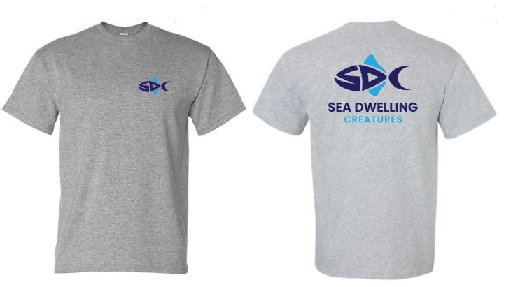 SDC: Logo T-Shirt Grey