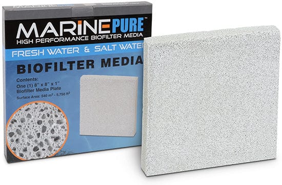 MAR:Marine Pure Media Plate 8x