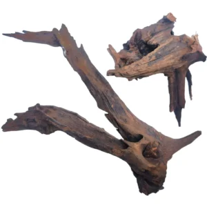 IceCap Extra Large Driftwood 24"-32"