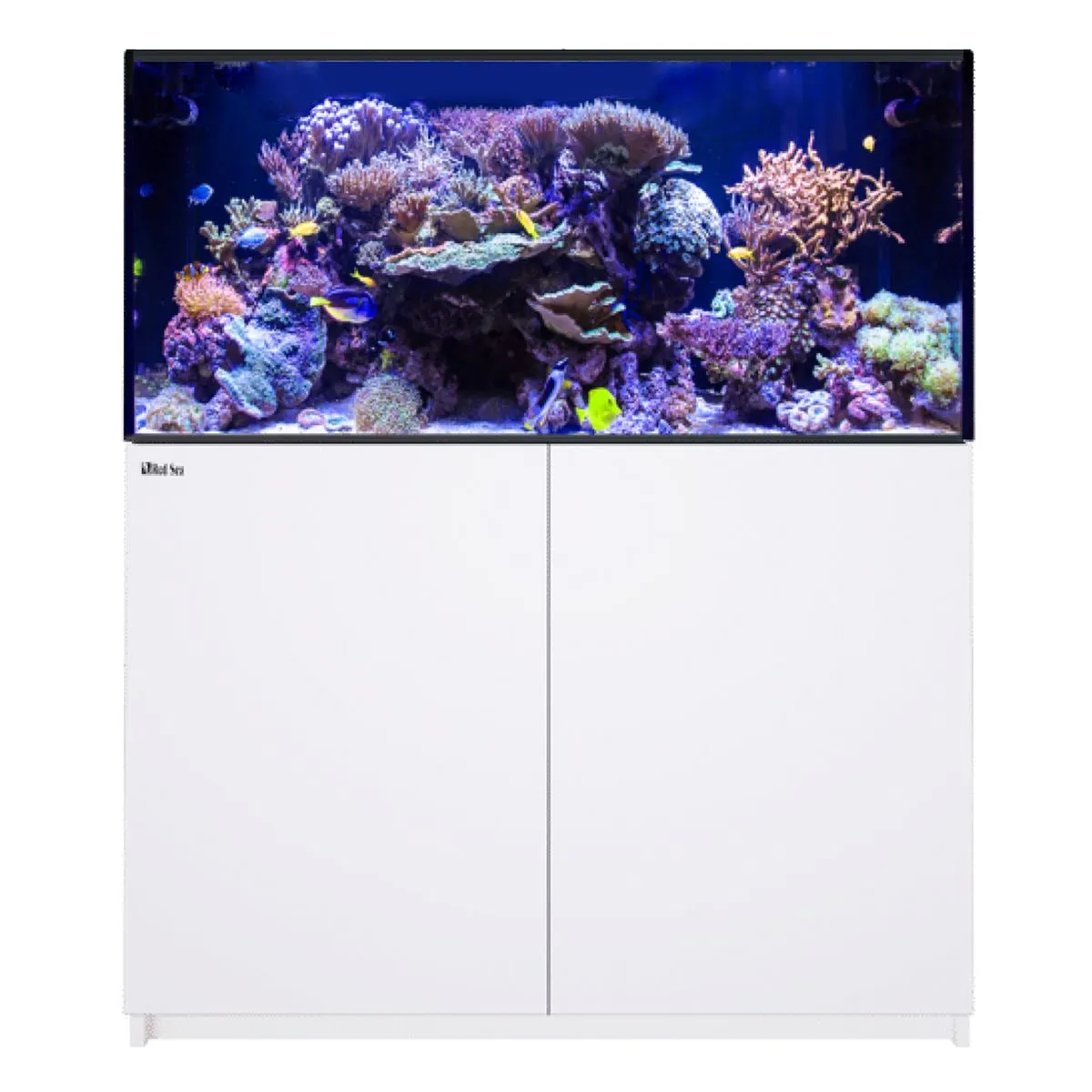REEFER 425 G3 White aquarium system with low-iron glass display