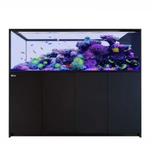 Red Sea REEFER MAX Peninsula S-950 G3 Black