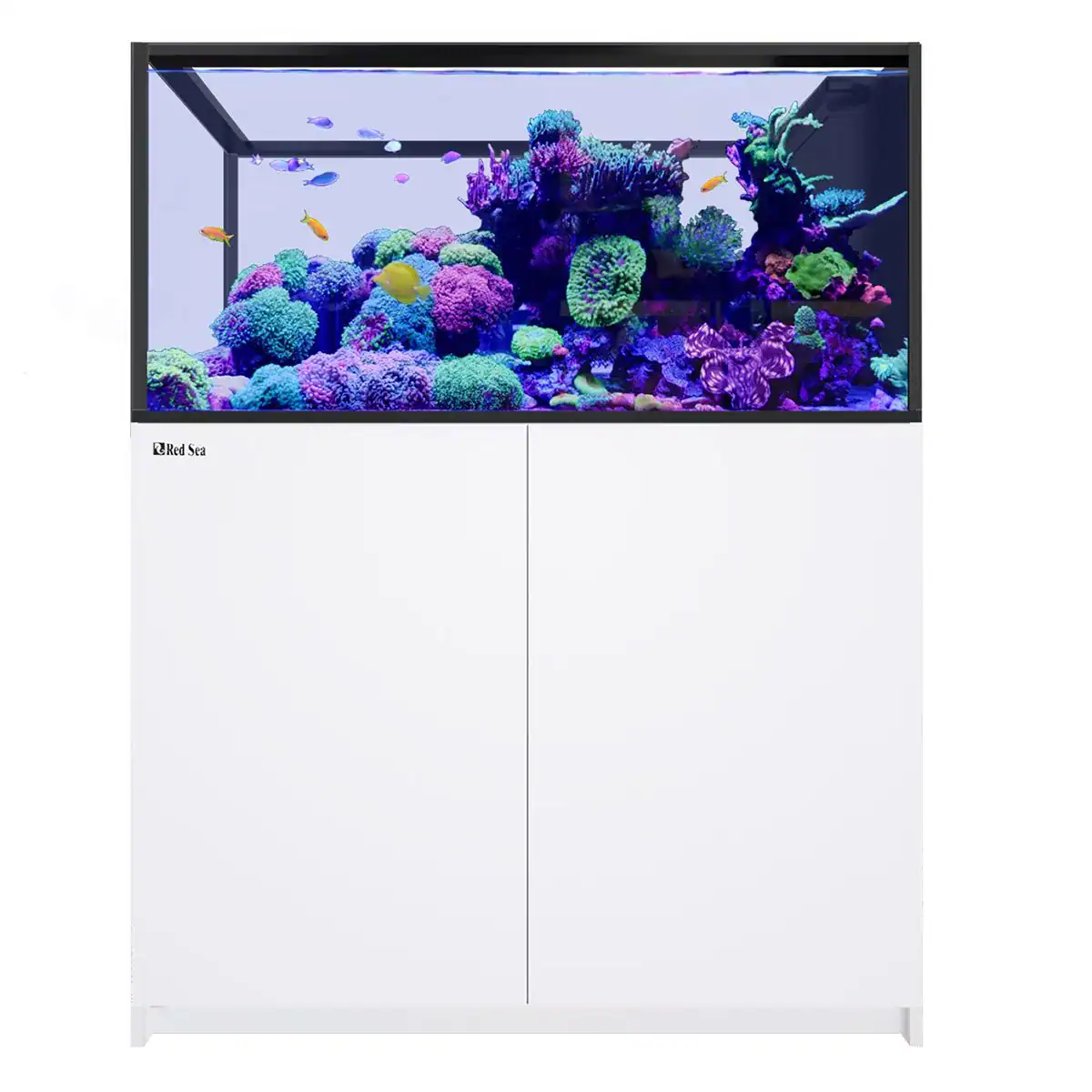 REEFER Peninsula 500 G3 White 109 gallon peninsula aquarium with ultra clear glass and white cabinet