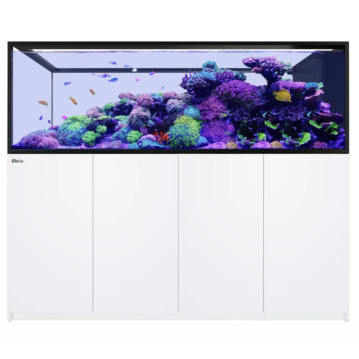 REEFER Peninsula S 950 G3 White 200 gallon peninsula aquarium with clean white cabinet and dual viewing design