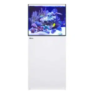 Red Sea REEFER 200 G3 in White (42 Gal)